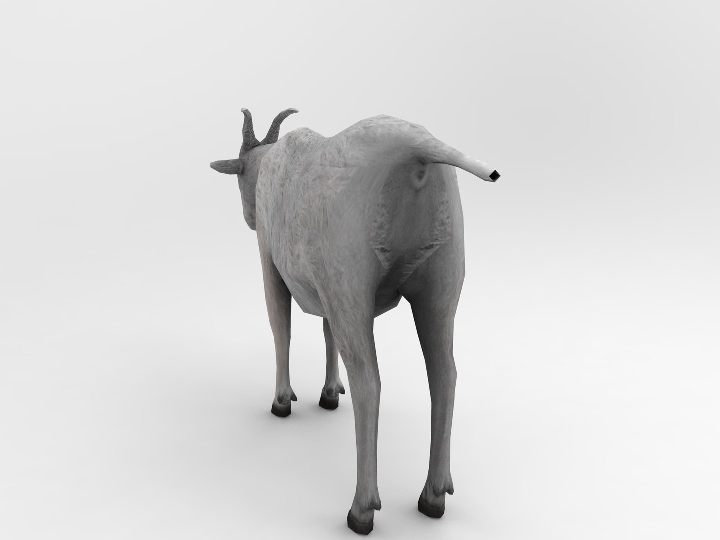 3d goat model https://p.turbosquid.com/ts-thumb/hx/zUHRAw/taNzz9od/goat.424/jpg/1450257765/1920x1080/fit_q87/8e0071663d6182f4892978e41e6dcec4b337fb01/goat.424.jpg