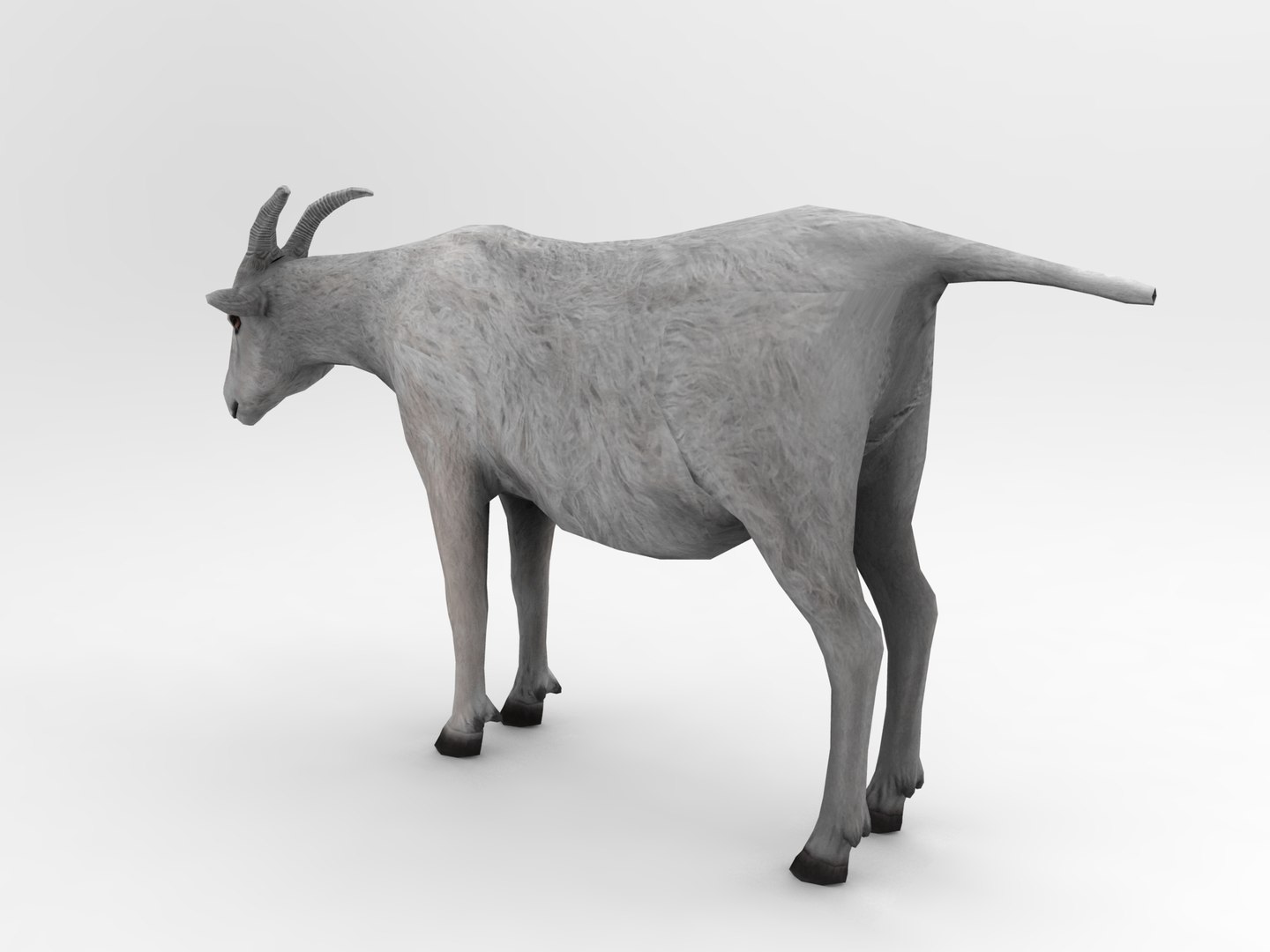 3d goat model https://p.turbosquid.com/ts-thumb/hx/zUHRAw/um7BY3jG/goat.426/jpg/1450257765/1920x1080/fit_q87/8e88eb77ee832c7108e8590eb95ced8f97898ff0/goat.426.jpg