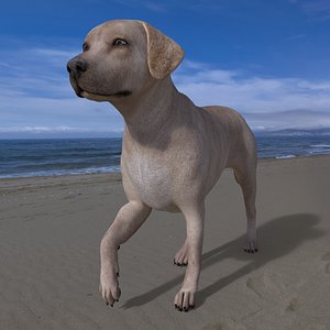 LAB-036 Dog Walking 3D model