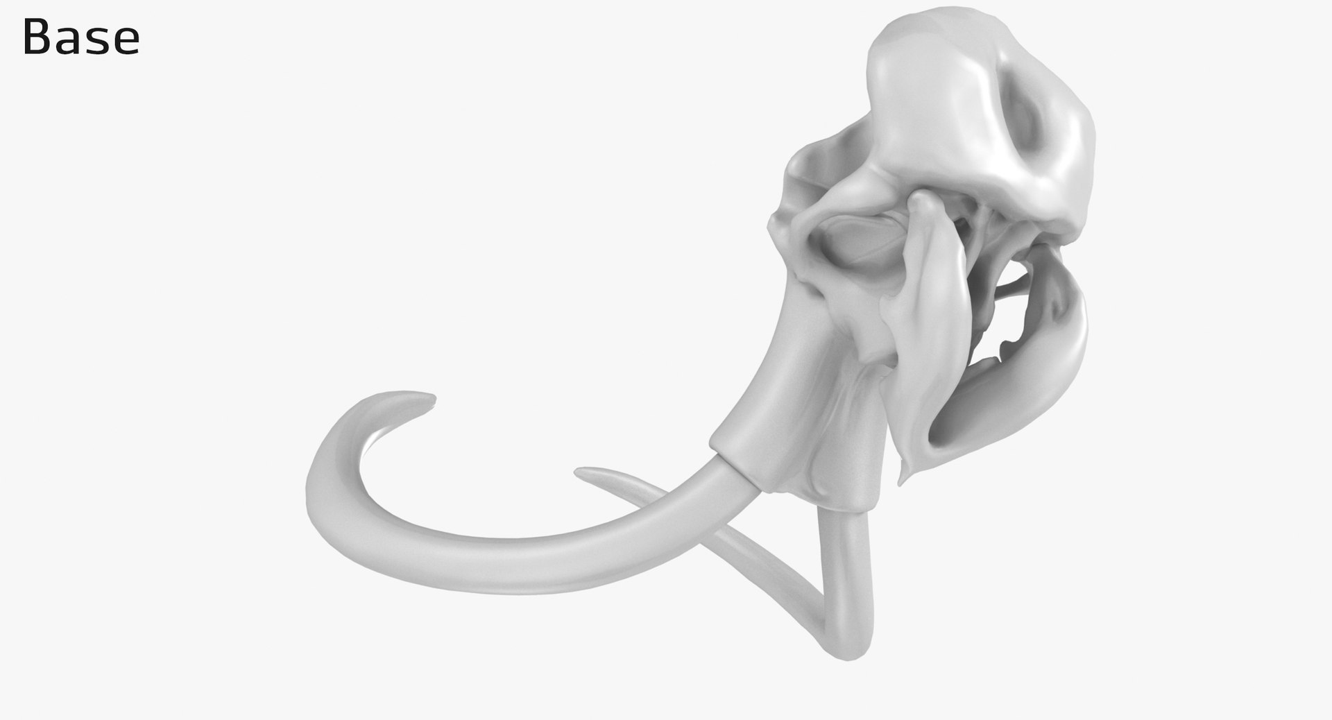 3D mammoth skull model https://p.turbosquid.com/ts-thumb/hy/7WiaXA/KWJ6Szog/749_base0003/jpg/1599953435/1920x1080/fit_q87/dd933a9f7c4294baf9146c4357576ce422f7c919/749_base0003.jpg