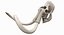Mammoth Skull