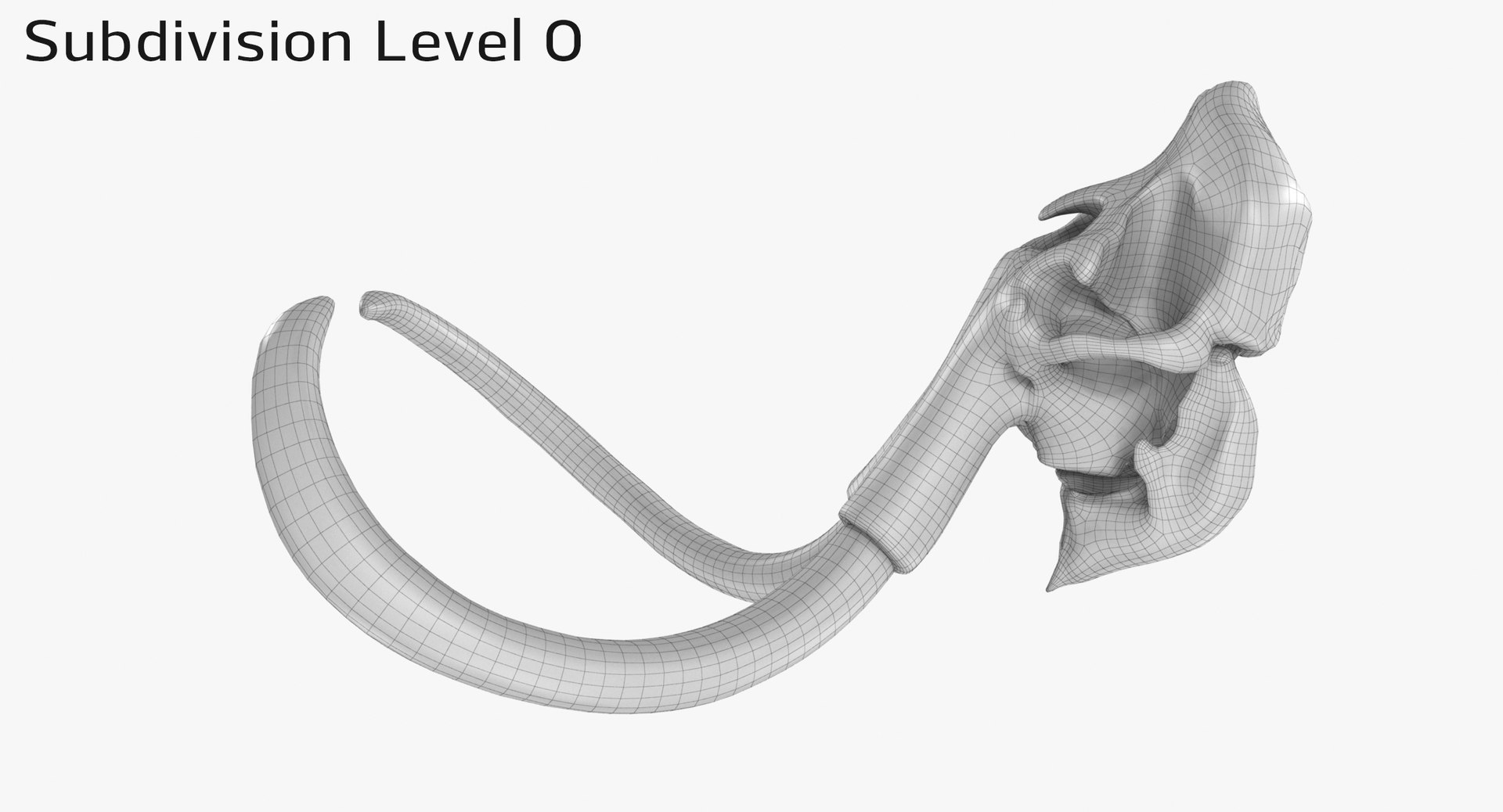 3D mammoth skull model https://p.turbosquid.com/ts-thumb/hy/7WiaXA/QcxFAadA/749_sub00002/jpg/1599953453/1920x1080/fit_q87/a4845d5f8e818efb0291cd2e257aa06796cf86f1/749_sub00002.jpg