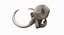 Mammoth Skull