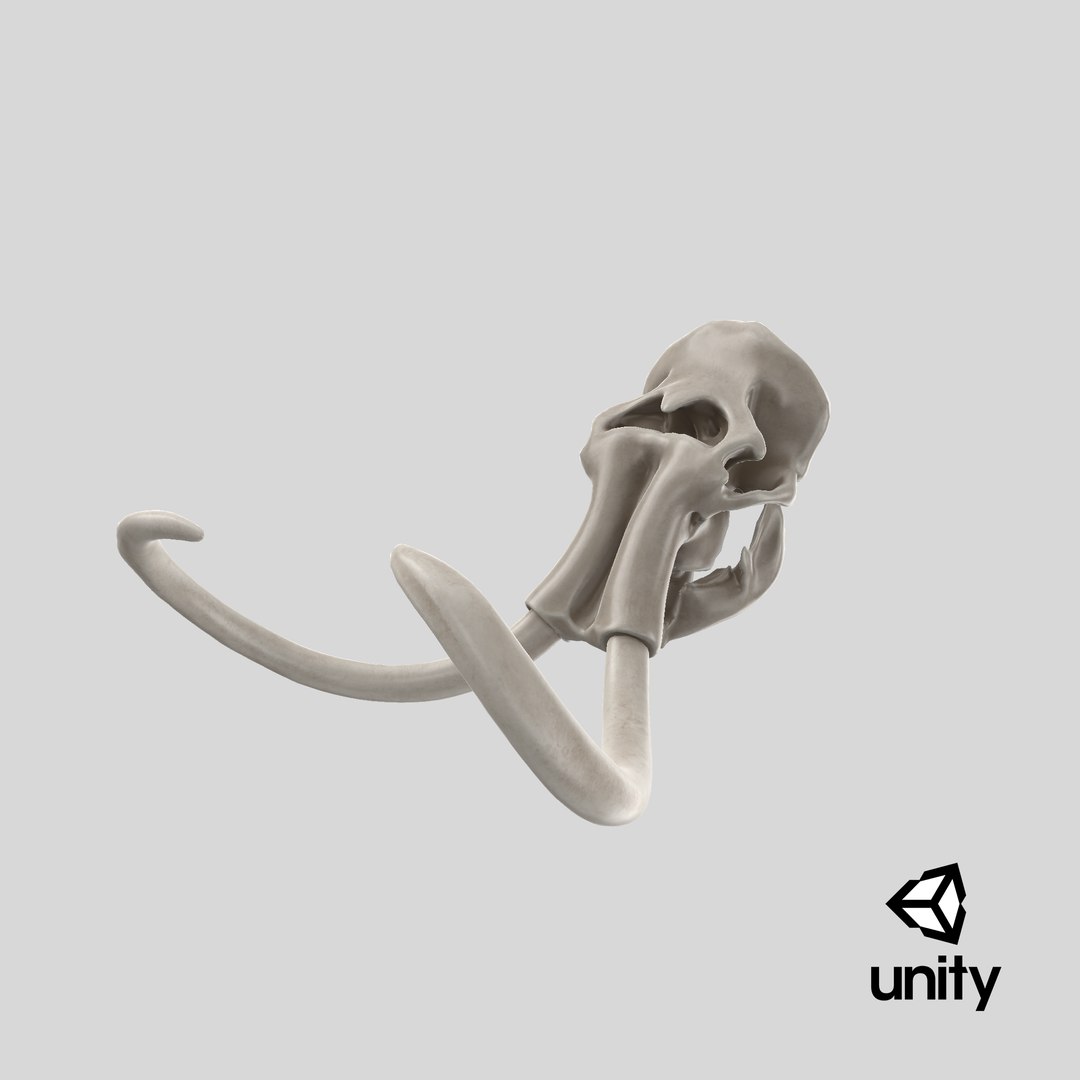 3D mammoth skull model https://p.turbosquid.com/ts-thumb/hy/7WiaXA/Yq9nBJI1/stemcell_unity_render/png/1600208310/1920x1080/fit_q87/a30dbb1ce4e69b967ea4264384f1c7e30cc422e1/stemcell_unity_render.jpg