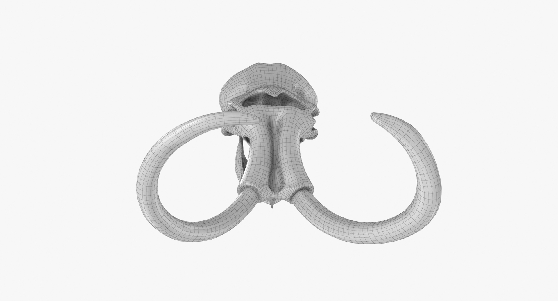 3D mammoth skull model https://p.turbosquid.com/ts-thumb/hy/7WiaXA/cp8Wi7E4/749_360w/jpg/1599953362/1920x1080/turn_fit_q99/1795158b0717ae59855c4d1092539a8dbe8ab379/749_360w-1.jpg
