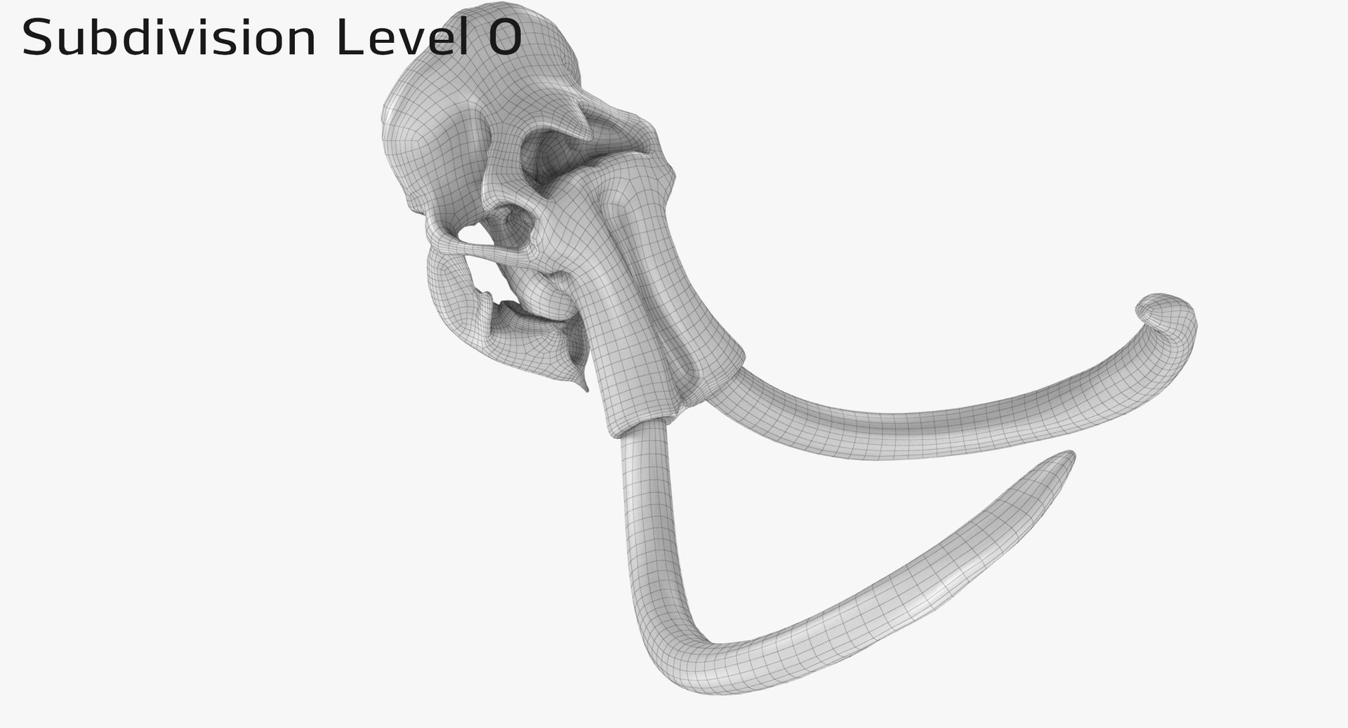 3D mammoth skull model https://p.turbosquid.com/ts-thumb/hy/7WiaXA/dcaZVkD1/749_sub00001/jpg/1599953453/1920x1080/fit_q87/49b5396501a1aa376f6f96b508530f215c1f67ce/749_sub00001.jpg