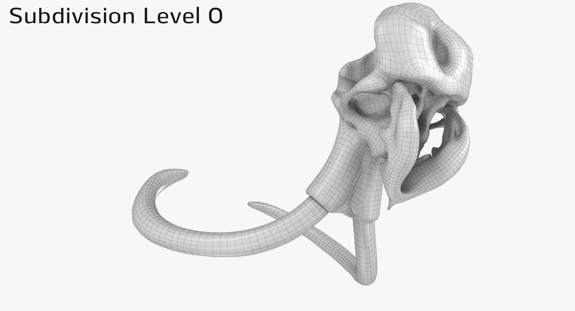 3D mammoth skull model https://p.turbosquid.com/ts-thumb/hy/7WiaXA/twCxemLW/749_sub00003/jpg/1599953453/1920x1080/fit_q87/4807eeef47c7f73a6c550f3dae6613a8b68c696c/749_sub00003.jpg