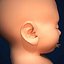 Fetus by 3DRivers