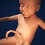 Fetus by 3DRivers