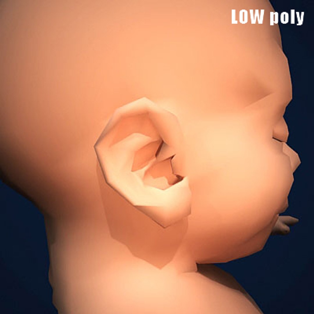 fetus embryo development 3d model https://p.turbosquid.com/ts-thumb/hy/7nztLG/TRZcNSR0/humanembyoc07_low/jpg/1259582594/1920x1080/fit_q87/13b7fed459353aad4f88a454d2f19ef933d6b535/humanembyoc07_low.jpg