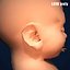 Fetus by 3DRivers