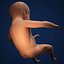 Fetus by 3DRivers