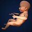Fetus by 3DRivers