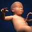 Fetus by 3DRivers