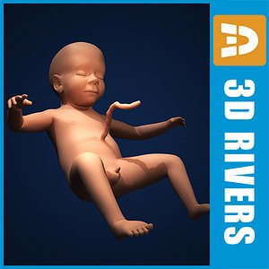 Fetus by 3DRivers
