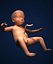 Fetus by 3DRivers