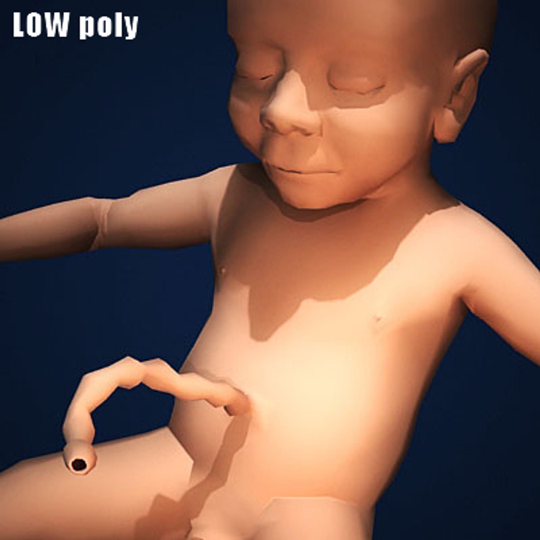 fetus embryo development 3d model https://p.turbosquid.com/ts-thumb/hy/7nztLG/xBtkl1c5/humanembyoc03_low/jpg/1259582582/1920x1080/fit_q87/dd038f3300ee3b937861d199da650639066dc07d/humanembyoc03_low.jpg
