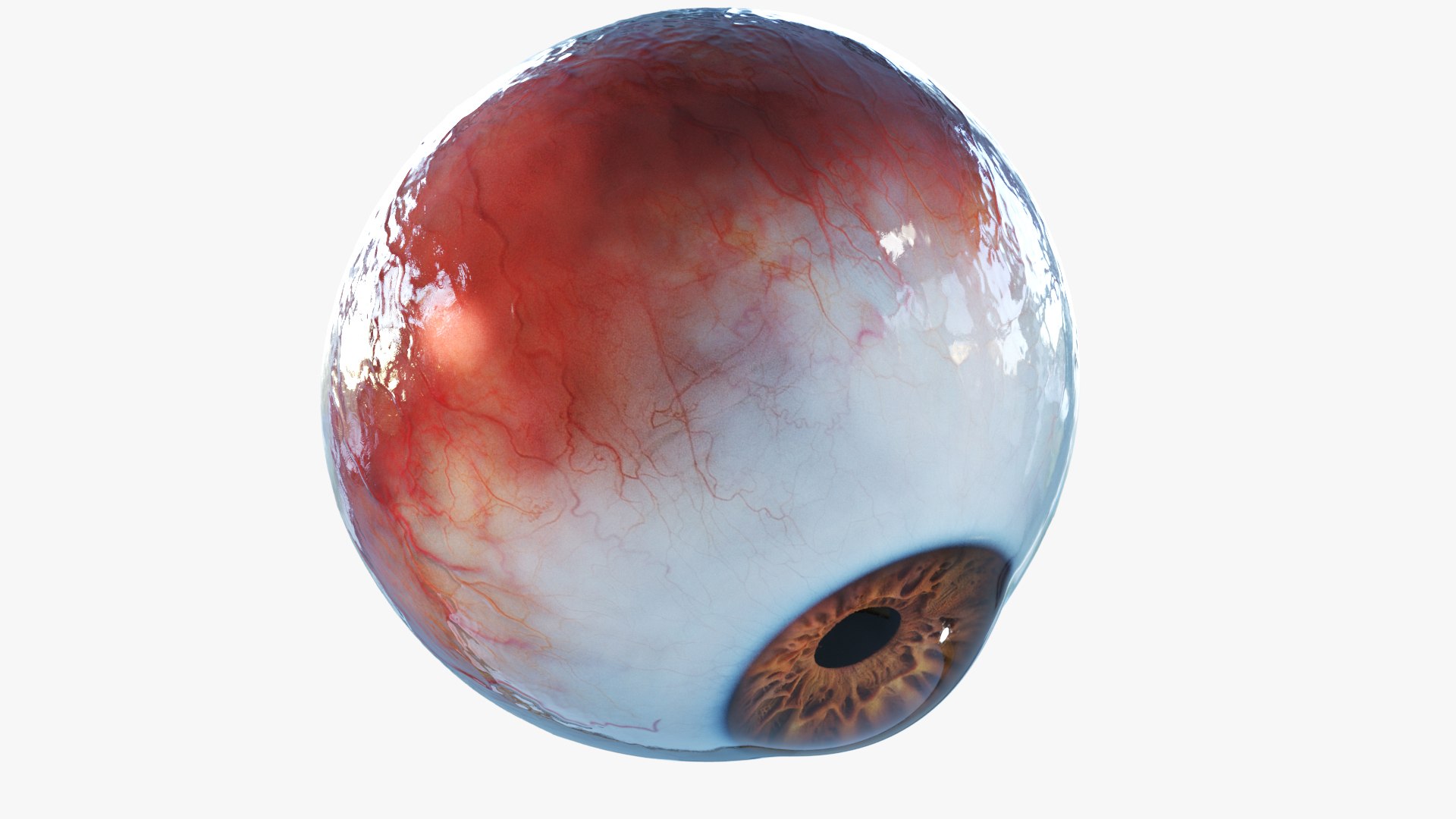 3D human eye rigged eyeball model https://p.turbosquid.com/ts-thumb/hy/Dx15jS/M2N9QZJK/img_0001/jpg/1606754951/1920x1080/fit_q87/1651d37b6b31b226b1927be182514d5aa43ba89a/img_0001.jpg