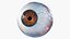 Eye Rigged