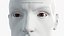 Eye Rigged