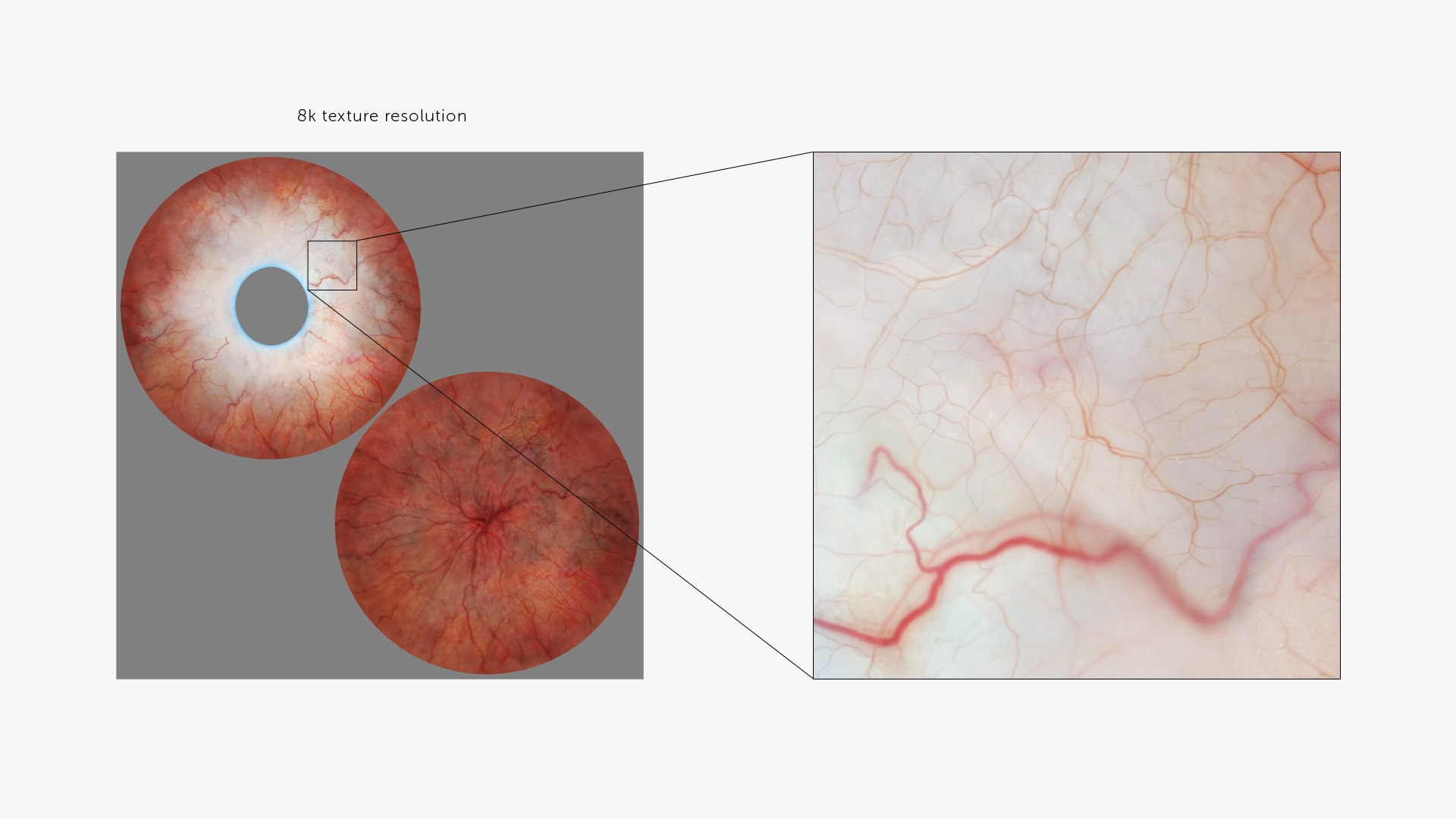 3D human eye rigged eyeball model https://p.turbosquid.com/ts-thumb/hy/Dx15jS/T7LepYZk/8k/jpg/1606757747/1920x1080/fit_q87/8add64d104d2dfd1bfb87e0574f105bed6259a07/8k.jpg