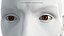 Eye Rigged