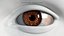 Eye Rigged