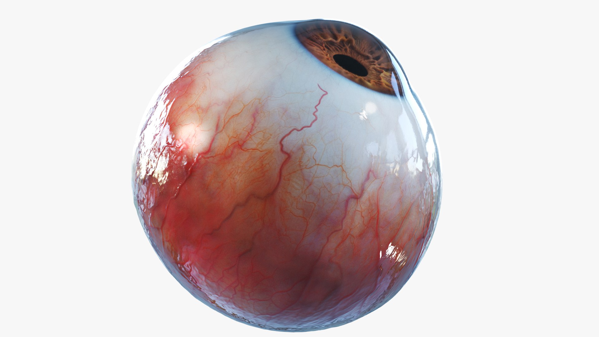 3D human eye rigged eyeball model https://p.turbosquid.com/ts-thumb/hy/Dx15jS/zsZbOtAK/img_0002/jpg/1606754951/1920x1080/fit_q87/c140745b052582d615333bb190b9973b567adc6f/img_0002.jpg