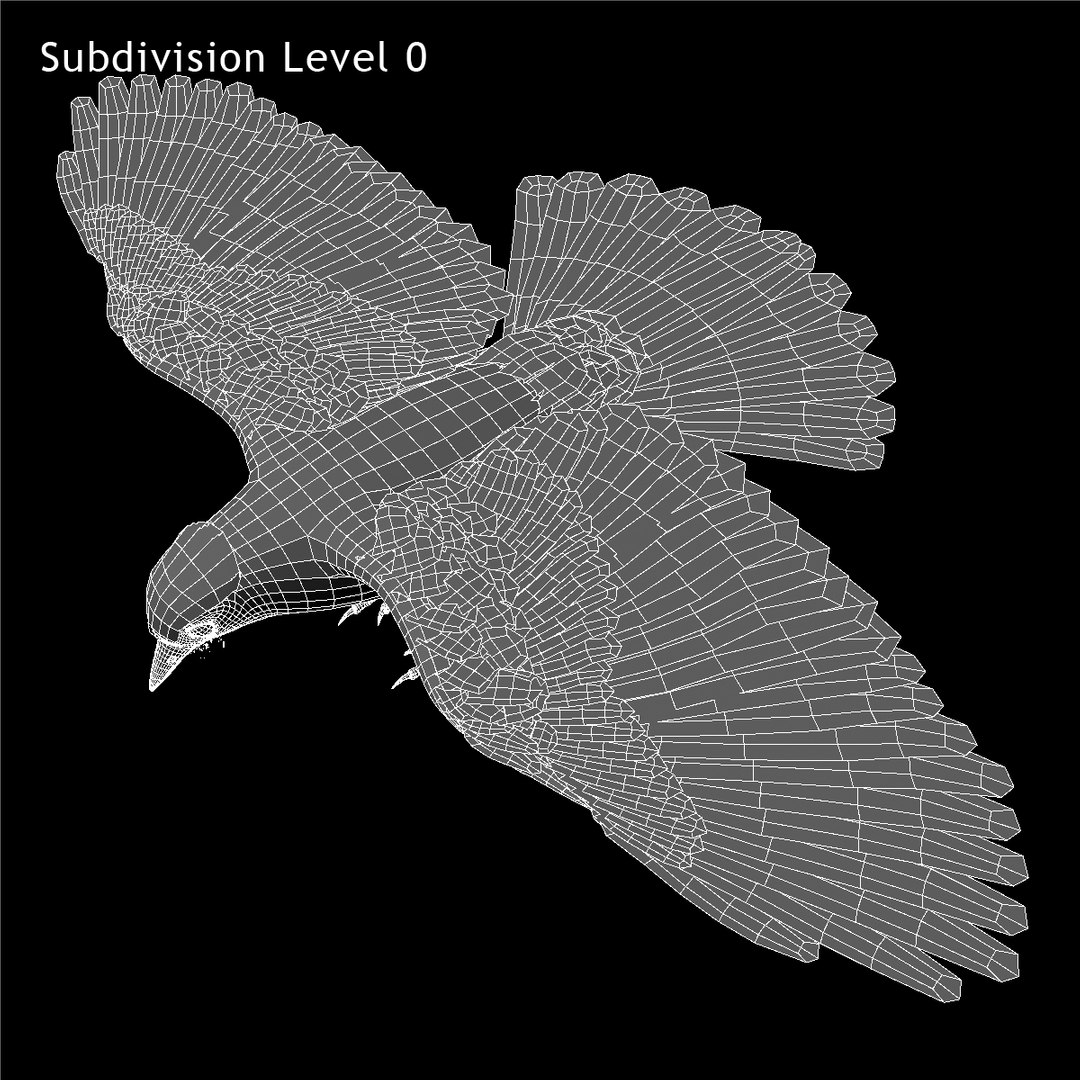 obj cyanocitta cristata blue jay https://p.turbosquid.com/ts-thumb/hy/JeXsK4/DTso8aMA/ww03/jpg/1415722882/1920x1080/fit_q87/fe193af427a6797c3417c8e2e47e800c2480c264/ww03.jpg