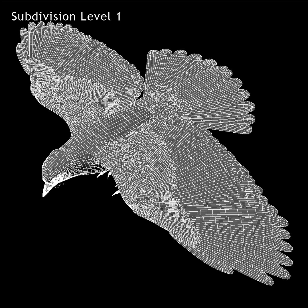 obj cyanocitta cristata blue jay https://p.turbosquid.com/ts-thumb/hy/JeXsK4/JurWAQRc/ww04/jpg/1415722882/1920x1080/fit_q87/8da6107da6f4f21e75014434c5dcfba339aa979b/ww04.jpg