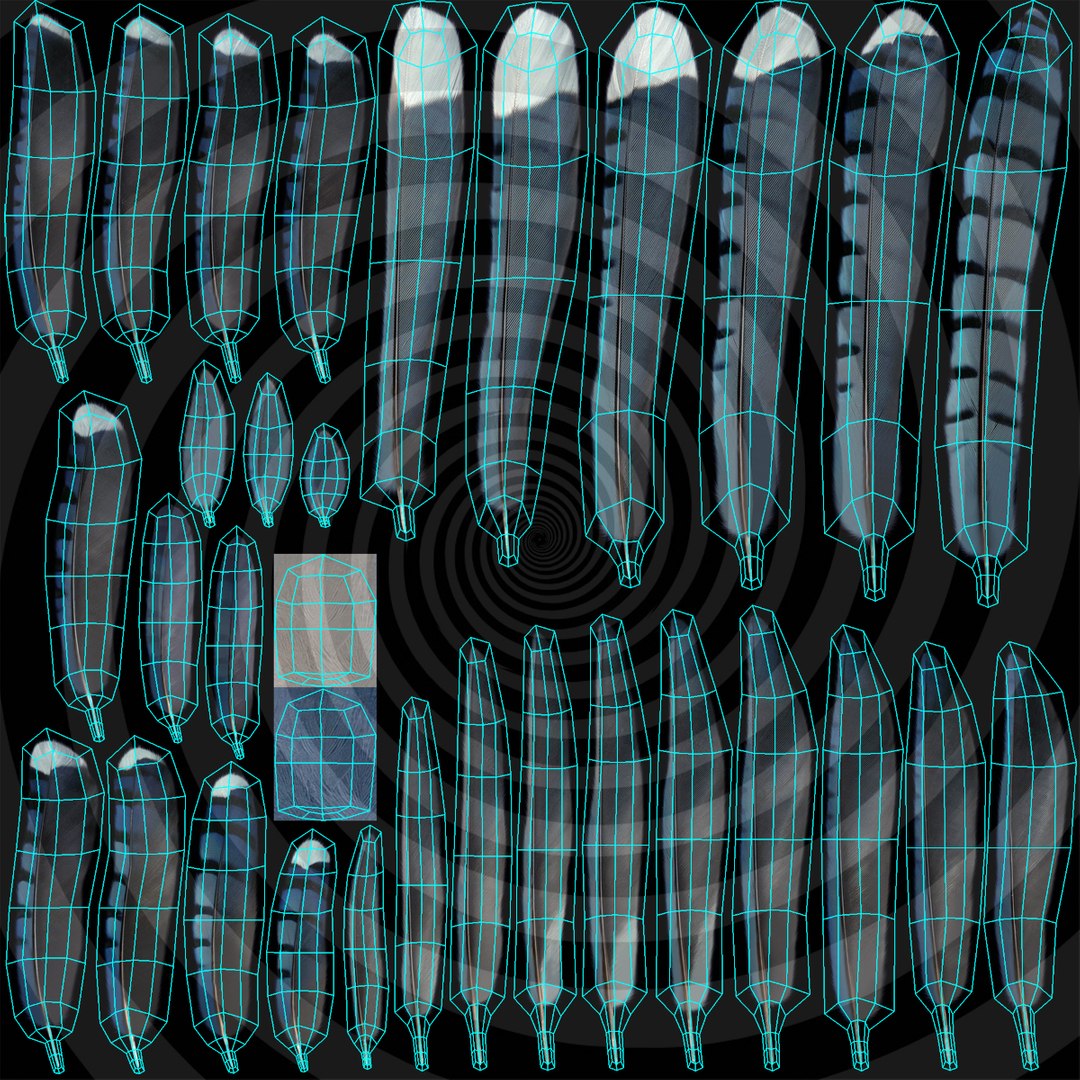 obj cyanocitta cristata blue jay https://p.turbosquid.com/ts-thumb/hy/JeXsK4/Wb8W2y4r/feathers_uv/jpg/1415722261/1920x1080/fit_q87/563a1536f0fb08ca4790b0a8a21bb2a3bc31dc7e/feathers_uv.jpg