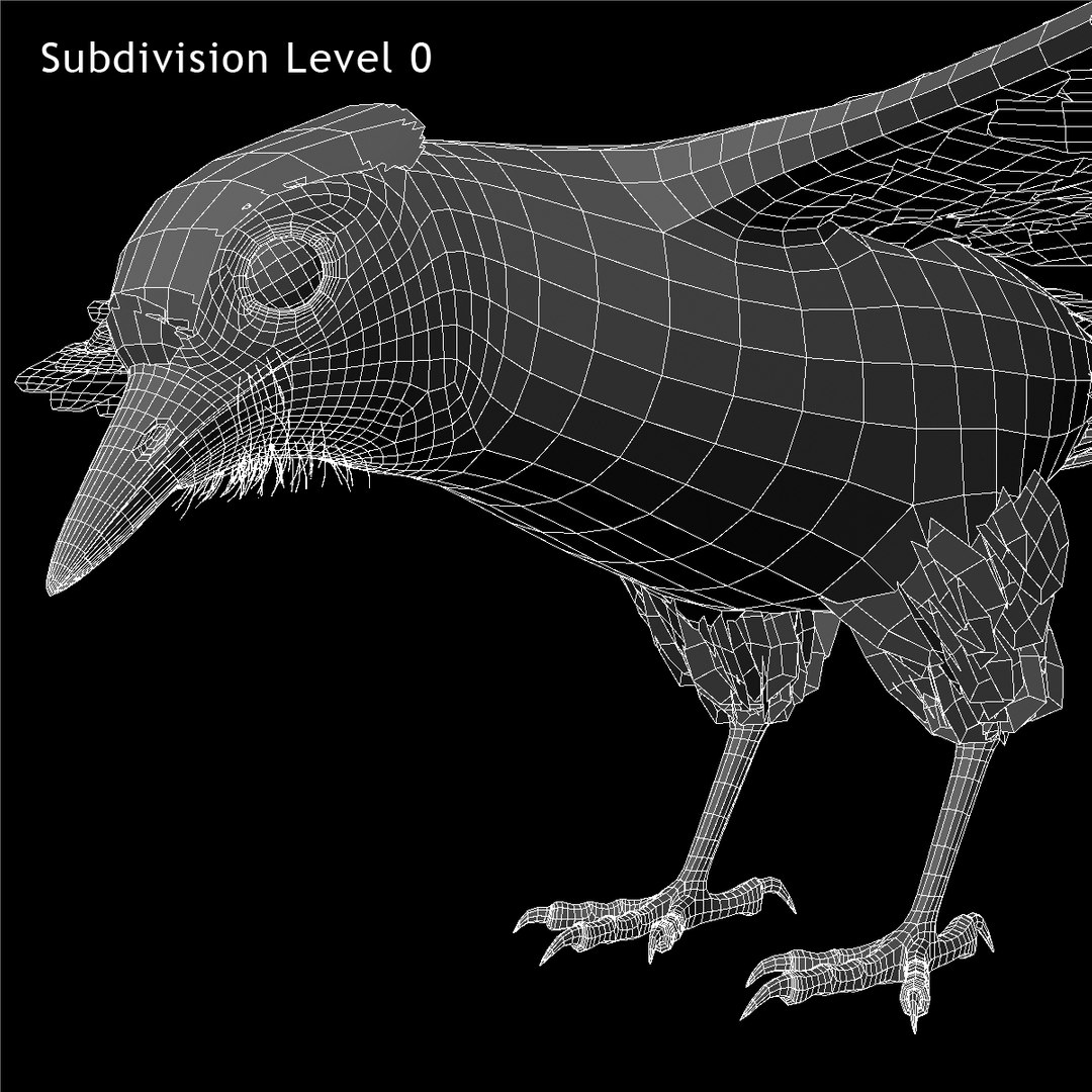 obj cyanocitta cristata blue jay https://p.turbosquid.com/ts-thumb/hy/JeXsK4/mu9WIFhW/ww01/jpg/1415722882/1920x1080/fit_q87/45ee799e6f526e62cd5d80a1a74373bdf3292f23/ww01.jpg