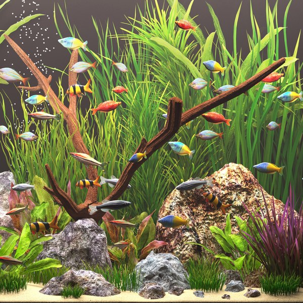 Aquarium 3D model - TurboSquid 1739659