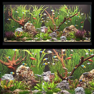 Aquarium 3D model
