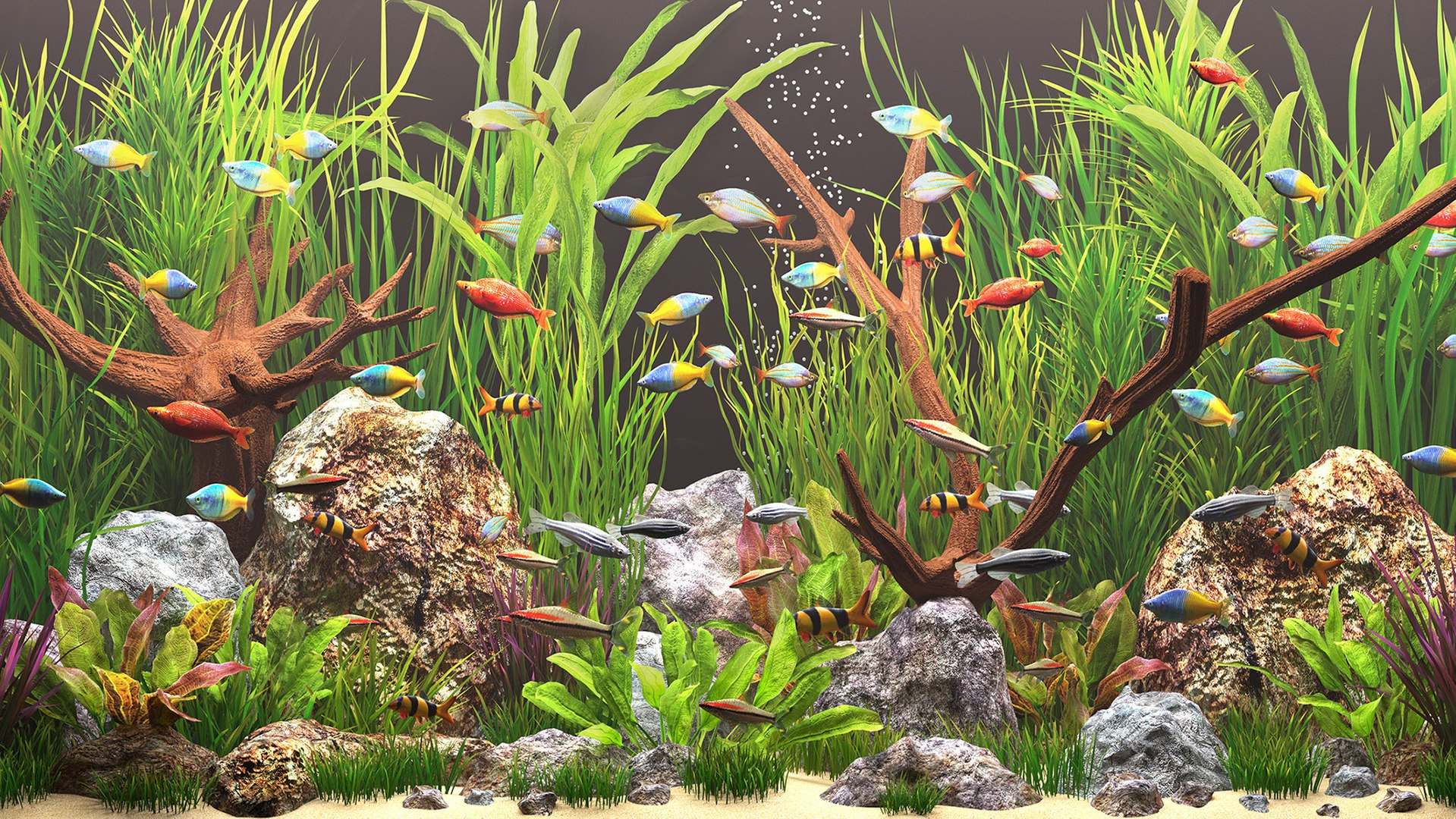 Aquarium 3D Model - TurboSquid 1739659