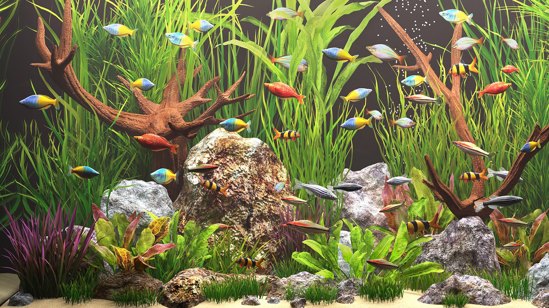 Aquarium 3D Model - TurboSquid 1739659