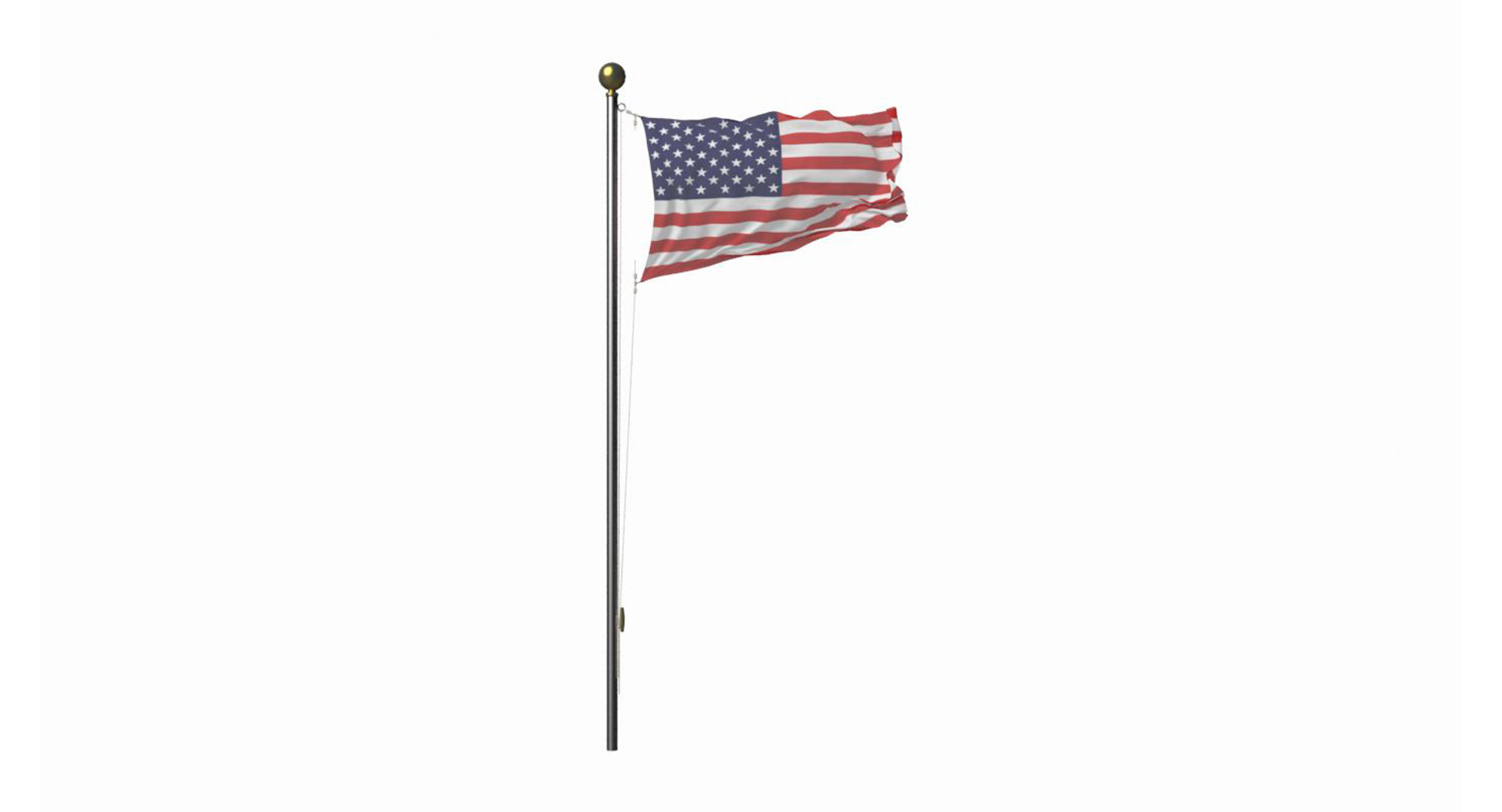 Flag Loop 3d Max