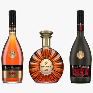 remy martin cognac bottles 3D model