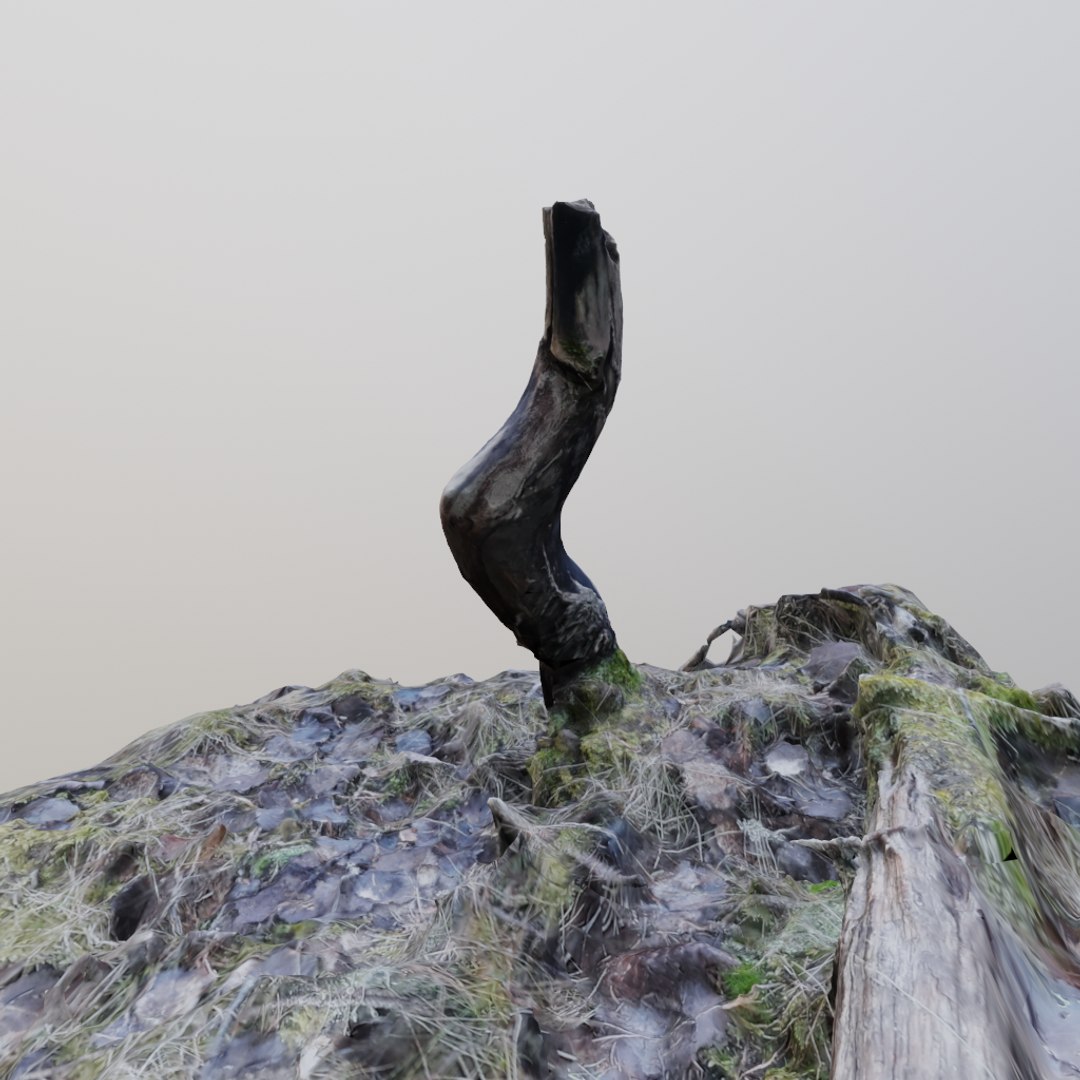 3D model scanned branch https://p.turbosquid.com/ts-thumb/hy/pzDZro/1p473nun/ico3/png/1582098382/1920x1080/fit_q87/a02fcfc2b9645e9d4d5dc9f32bc326173f1702ac/ico3.jpg