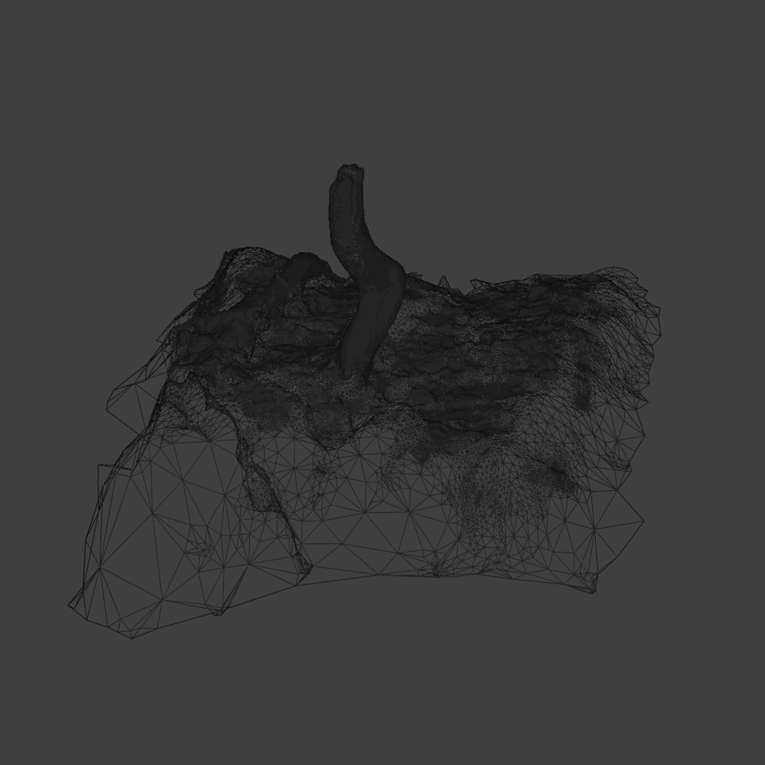 3D model scanned branch https://p.turbosquid.com/ts-thumb/hy/pzDZro/DjFuKYBg/ico5/png/1582098418/1920x1080/fit_q87/722bb767da81289b6c6ddcbc1d698935075a160d/ico5.jpg