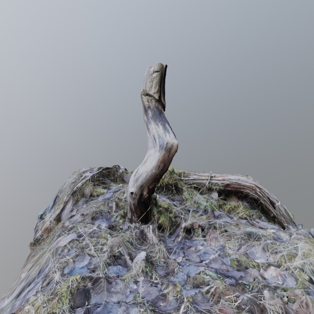 3D model scanned branch https://p.turbosquid.com/ts-thumb/hy/pzDZro/W3jbeE2h/ico2/png/1582098351/1920x1080/fit_q87/a48c3c104934d6e341deb10b0ab703b556b18bda/ico2.jpg