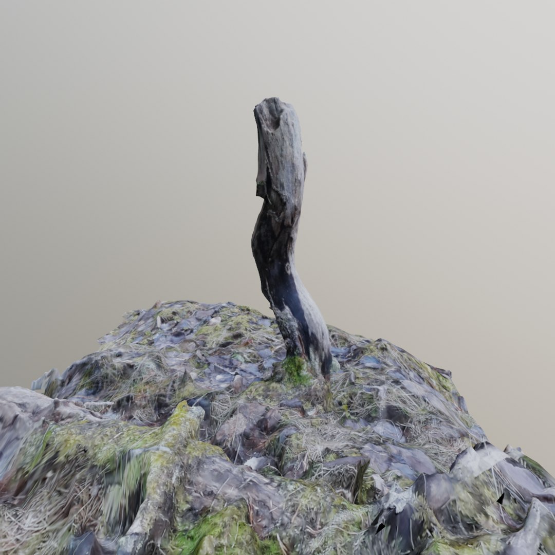 3D model scanned branch https://p.turbosquid.com/ts-thumb/hy/pzDZro/g5cwLywq/ico4/png/1582098400/1920x1080/fit_q87/512a3f7ef73a4697c53447f8e02404fbb39562d0/ico4.jpg