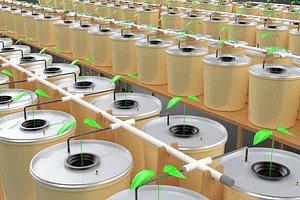 3D LARGE SCALE SOILLESS CROP DUTCH BUCKET HYDROPONIC PLANT SYSTEM