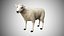 Rigged Low Poly Sheep Collection