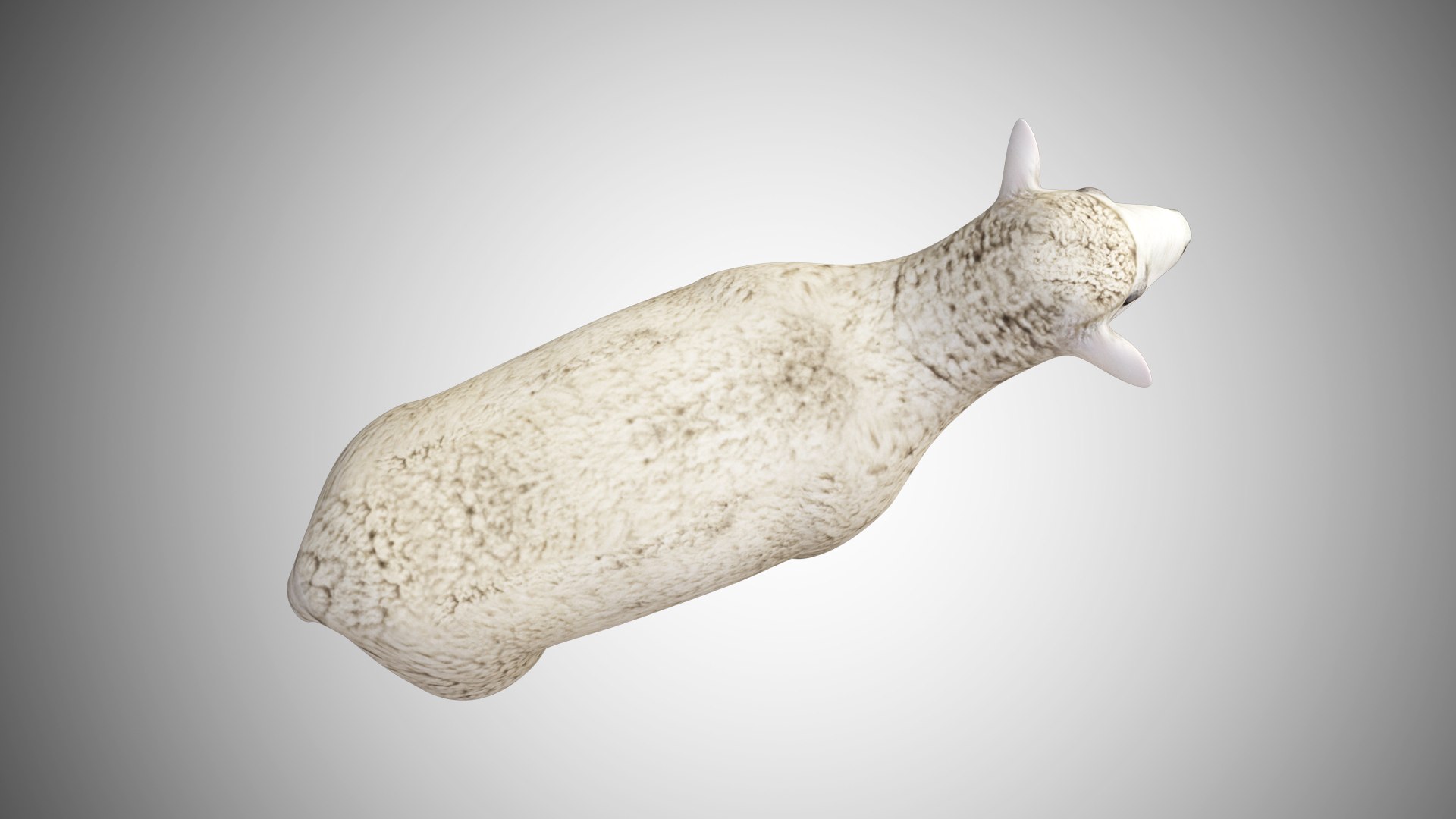 3D rigged https://p.turbosquid.com/ts-thumb/hz/FJcXIv/1Kuh7bXA/sheep04/jpg/1597700815/1920x1080/fit_q87/5121385323935f899ca3e7d0e87ec0f63d80c98b/sheep04.jpg
