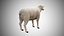 Rigged Low Poly Sheep Collection