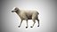 Rigged Low Poly Sheep Collection