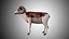 Rigged Low Poly Sheep Collection