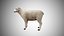 Rigged Low Poly Sheep Collection