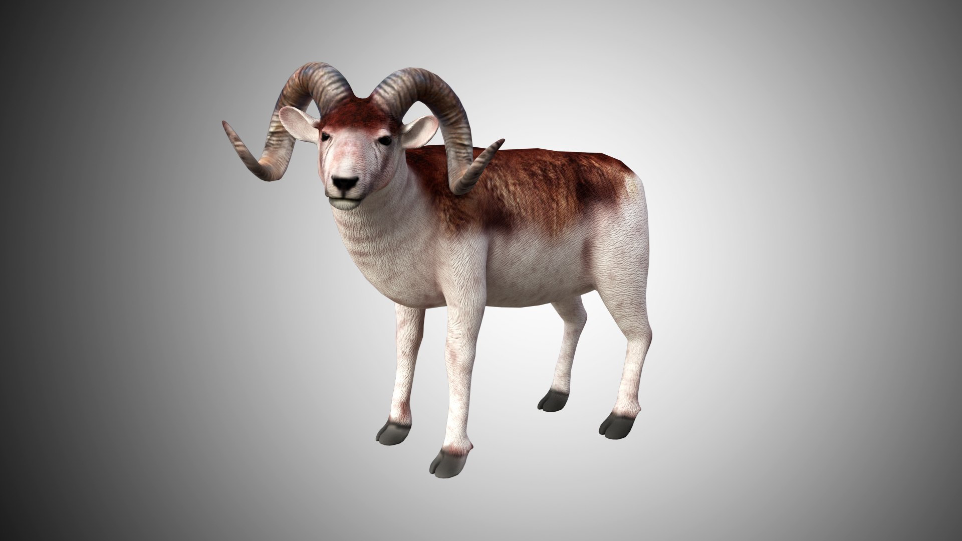 3D rigged https://p.turbosquid.com/ts-thumb/hz/FJcXIv/KA76danB/00/jpg/1597700805/1920x1080/fit_q87/a6f5673d02fa33e6e24fff8a0ee68e32f0c9abb6/00.jpg